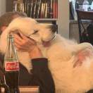 谁念西风独自凉