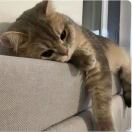 你喜欢晴天还是雨天