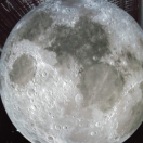 Michael X_1775174940